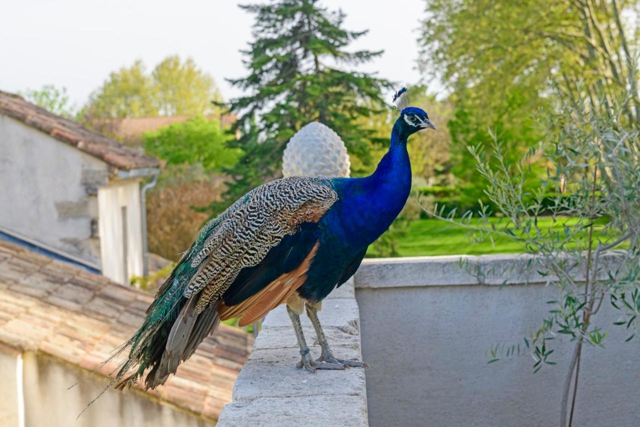 Bastide De Bellegarde Bed & Breakfast Avignon Exterior photo